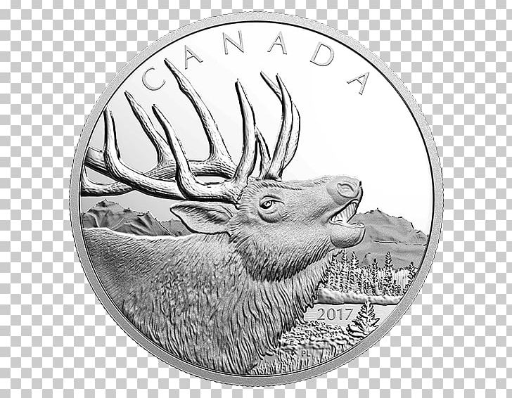 Silver Coin Canada Elk Silver Coin PNG, Clipart, 2017, 2017 Pure, Animal, Antler, Black And White Free PNG Download