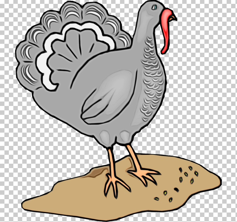 Bird Beak Chicken Flightless Bird Goose PNG, Clipart, Beak, Bird, Chicken, Flightless Bird, Fowl Free PNG Download