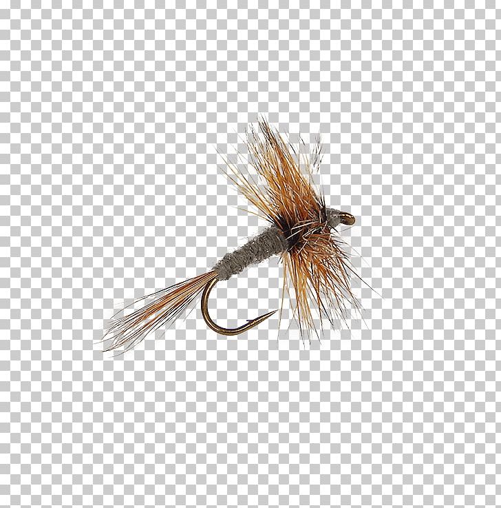 Artificial Fly Fly Fishing Adams Trout PNG, Clipart,  Free PNG Download