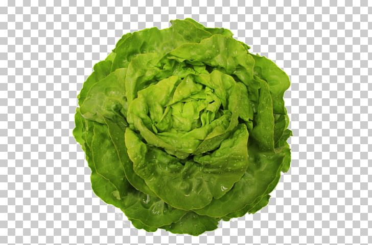 Romaine Lettuce Cruciferous Vegetables Mustards PNG, Clipart, Cruciferous Vegetables, Food, Leaf Vegetable, Lettuce, Others Free PNG Download