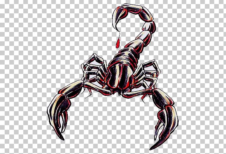 Scorpion Animal PNG, Clipart, Animal, Arthropod, Butterfly, Compact Disc, Crab Free PNG Download