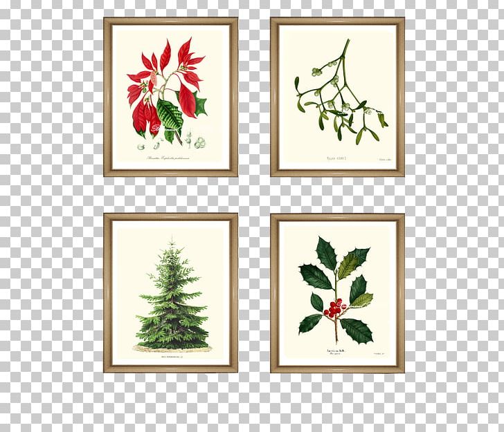 Art Flower Holly Floral Design Poinsettia PNG, Clipart, Aquifoliales, Art, Branch, Canvas, Canvas Print Free PNG Download