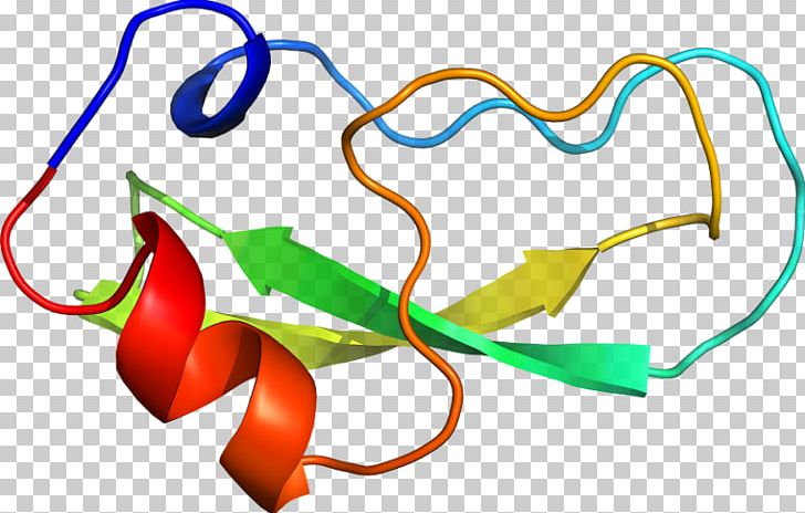 Line Point PNG, Clipart, Area, Art, Artwork, Bovine Pancreatic Ribonuclease, Line Free PNG Download