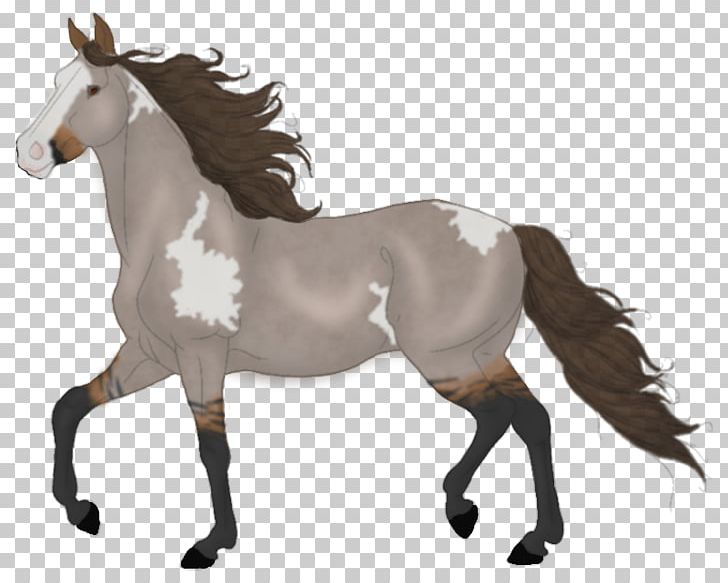 Mane Mustang Mare Stallion Rein PNG, Clipart,  Free PNG Download