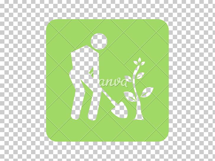 Photography PNG, Clipart, Art, Drawing, Ecology, Grass, Green Free PNG Download