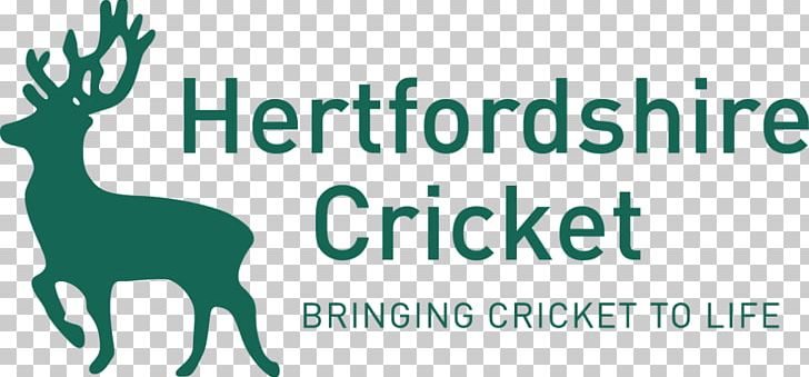 Hertfordshire County Cricket Club Essex County Cricket Club Kolkata Knight Riders Hertfordshire Cricket League PNG, Clipart, Antler, Bowling Cricket, Brand, Charley, Club Cricket Free PNG Download