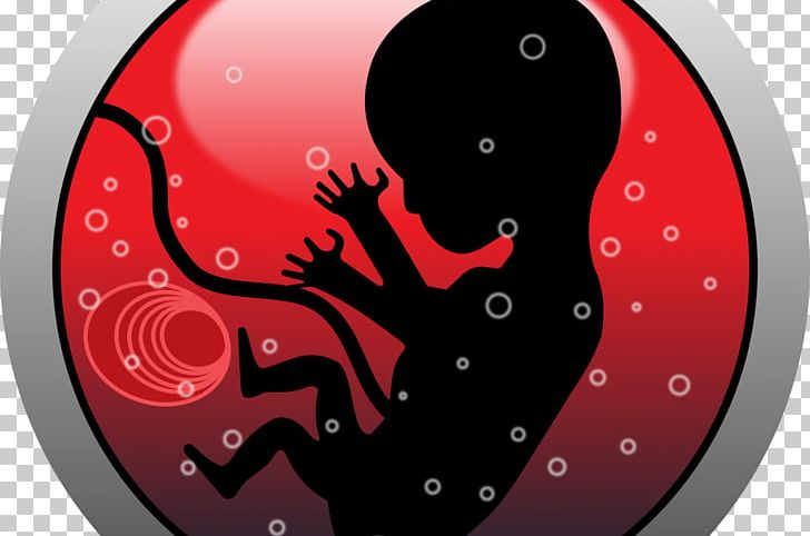 Human Embryogenesis Fetus Uterus PNG, Clipart, Circle, Egg Cell, Embryo, Fetus, Homo Sapiens Free PNG Download