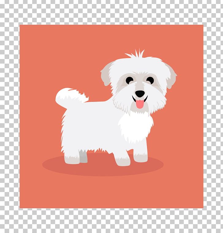 Maltese Dog Havanese Dog Puppy Dog Breed Companion Dog PNG, Clipart, Animals, Bichon, Bichon Frise, Bolognese Dog, Bolonka Free PNG Download