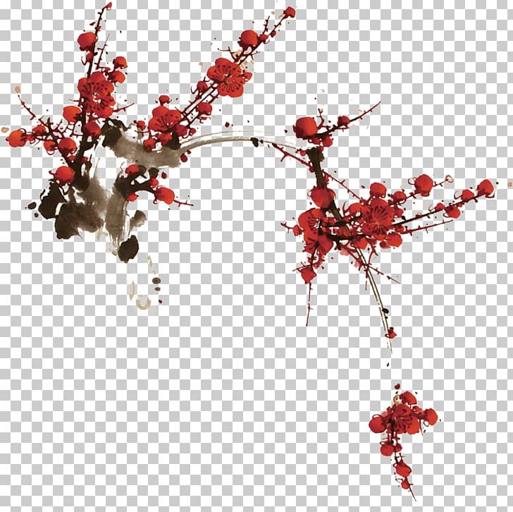 Cherry Blossom Berry PNG, Clipart, Aquifoliaceae, Aquifoliales, Blossom, Branch, Cher Free PNG Download