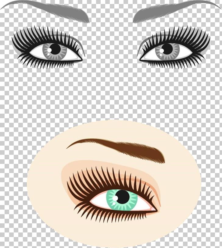 Eyebrow Photography Illustration PNG, Clipart, Banco De Imagens, Brand, Cartoon Eyes, Cosmetics, Euclidean Vector Free PNG Download