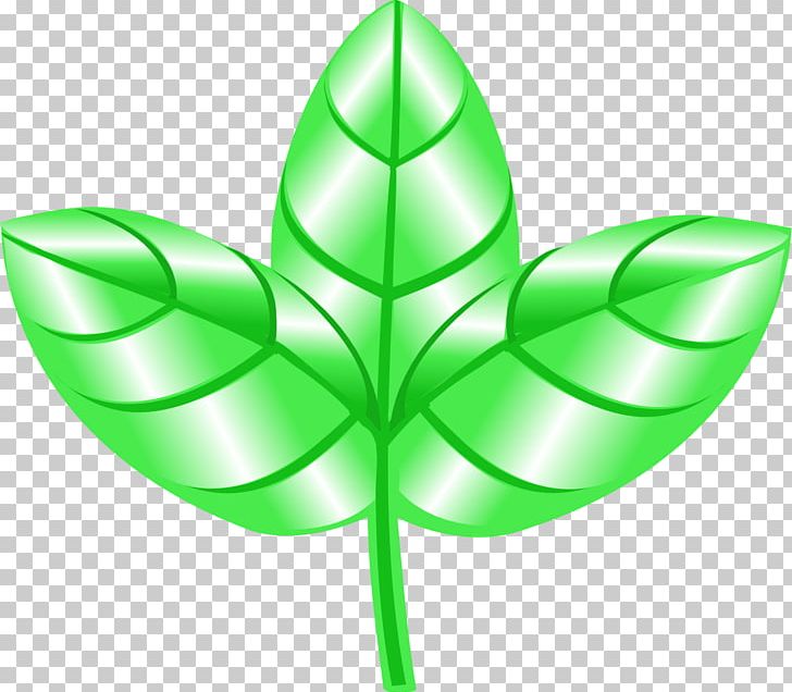 Leaf Plant Stem Symmetry Symbol PNG, Clipart, Green, Leaf, Plant, Plant Stem, Symbol Free PNG Download