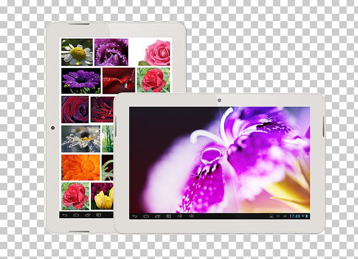 Technology Multimedia PNG, Clipart, Electronics, Five, Flower, Magenta, Multimedia Free PNG Download