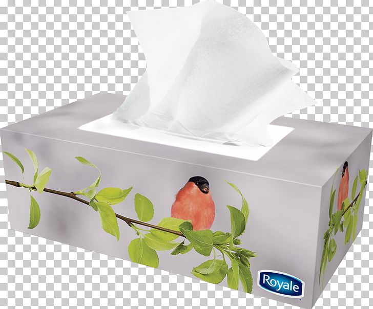 Tissue Paper Box Facial Tissues Royale PNG, Clipart, Box, Brand, Face, Facial, Facial Tissues Free PNG Download