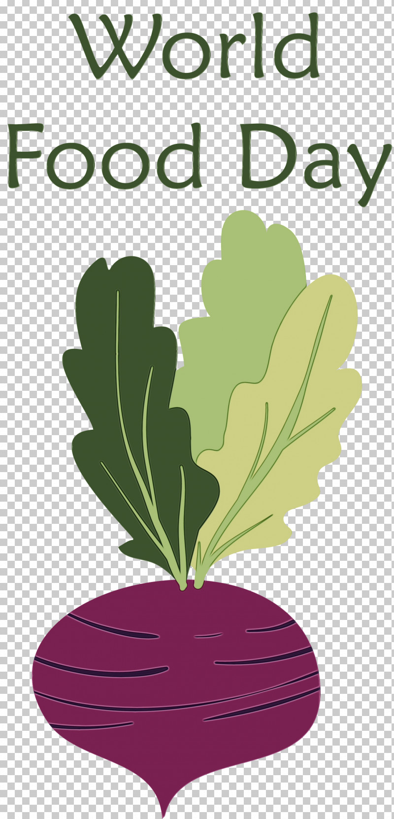 Leaf Vegetable Flower Leaf Cartoon Petal PNG, Clipart, Biology, Cartoon, Flower, Herb, Leaf Free PNG Download