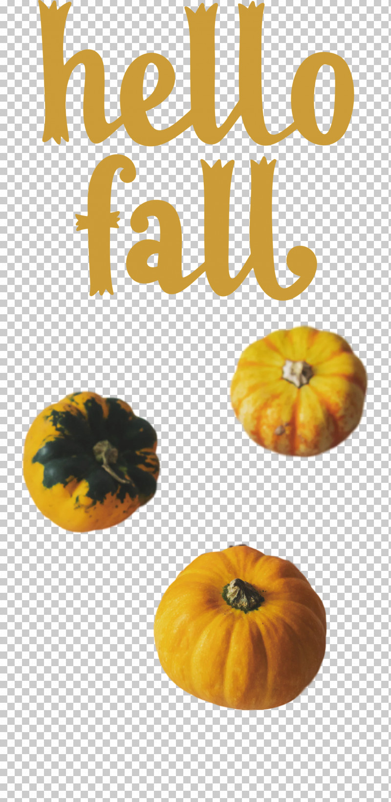 Hello Fall Fall Autumn PNG, Clipart, Autumn, Fall, Fruit, Gourd, Hello Fall Free PNG Download