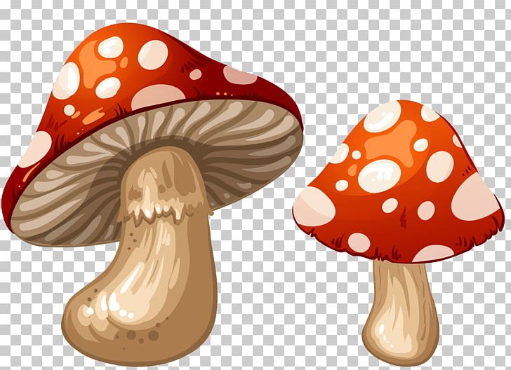 Edible Mushroom PNG, Clipart, Animals, Clip Art, Common Mushroom, Coprinus, Drawing Free PNG Download