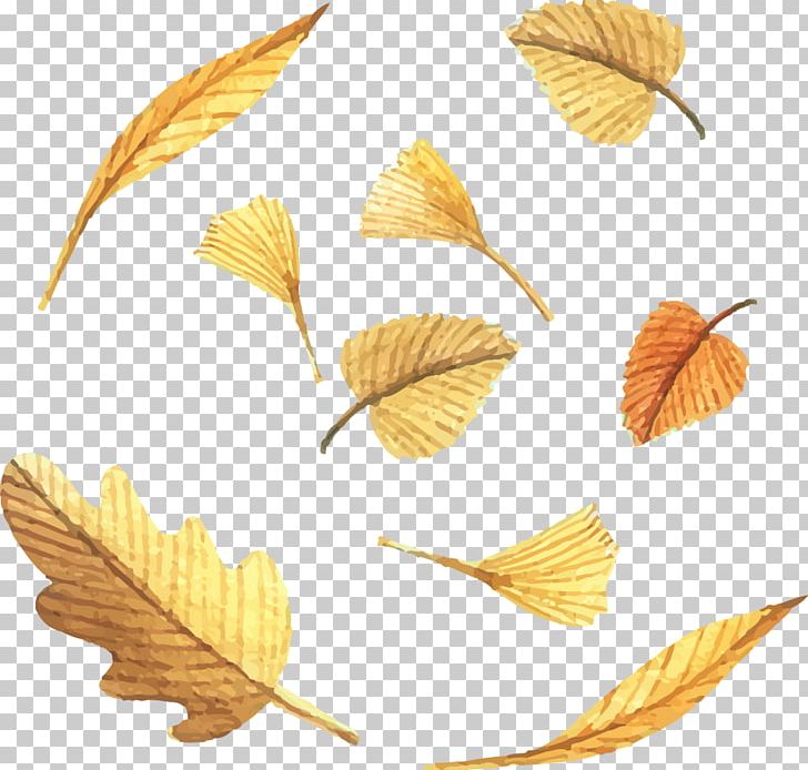 Leaf Euclidean Deciduous PNG, Clipart, Autumn Leaves, Computer Graphics, Decorative Patterns, Download, Drawing Free PNG Download