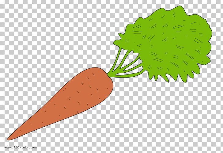 Carrot Cake Drawing Vegetable PNG, Clipart, Carrot, Carrot Cake, Desktop Wallpaper, Digital Image, Drawing Free PNG Download