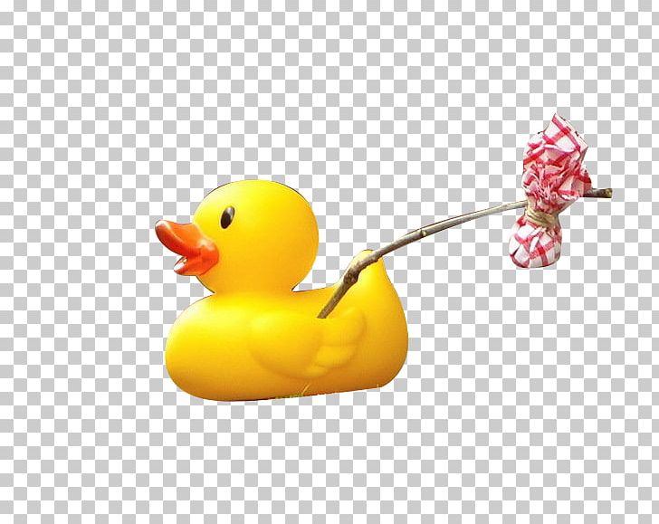 Duck Travel Designer Creativity PNG, Clipart, Beak, Bird, Computer, Computer Wallpaper, Creative Free PNG Download