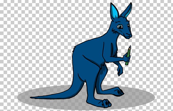 Kangaroo Koala Drawing PNG, Clipart, Animal, Animals, Animation, Art Box, Blue Free PNG Download