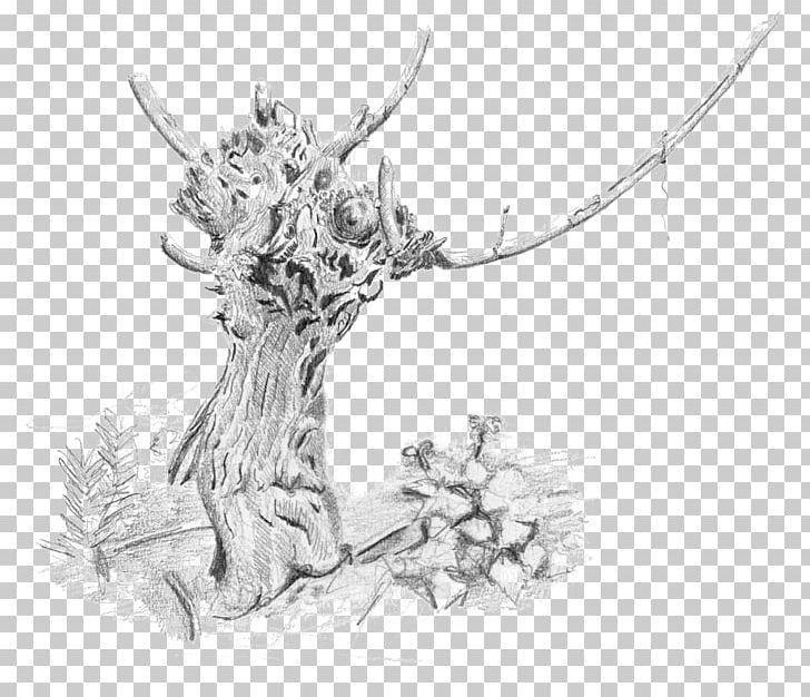 Vigne Sketch Drawing Bacelo Illustration PNG, Clipart, Antler, Art, Artwork, Basabizitza, Biodiversity Free PNG Download