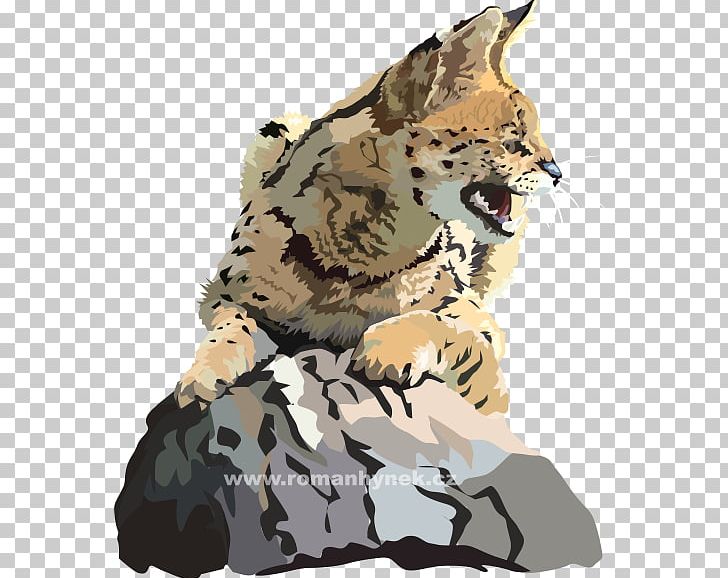 Cheetah Big Cat Tiger Fauna PNG, Clipart, Big Cat, Big Cats, Camouflage, Carnivoran, Cat Free PNG Download