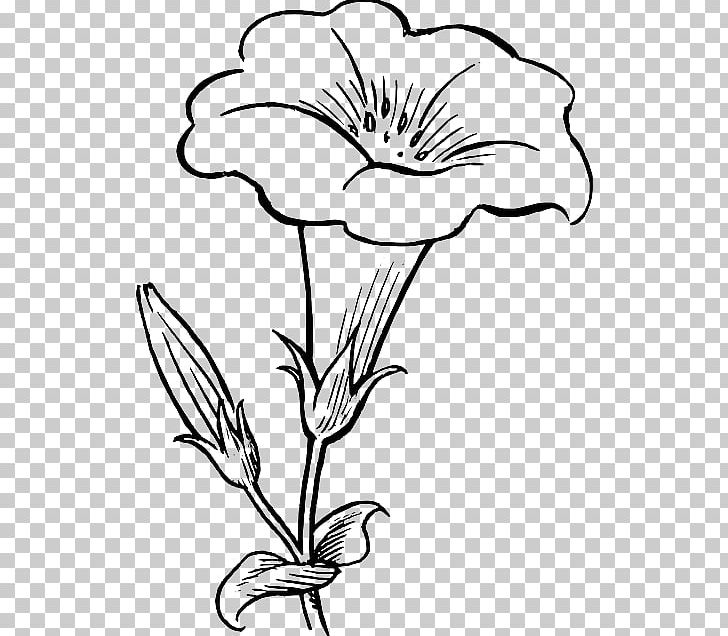 Flower Black And White Drawing PNG, Clipart, Art, Artwork, Black And White, Color, Cut Flowers Free PNG Download