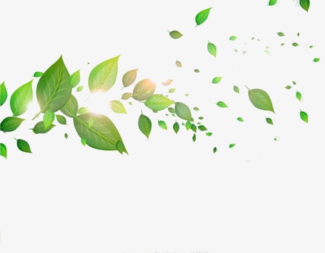 Leaves PNG, Clipart, Float, Green, Green Leaves, Leaves, Leaves Clipart Free PNG Download