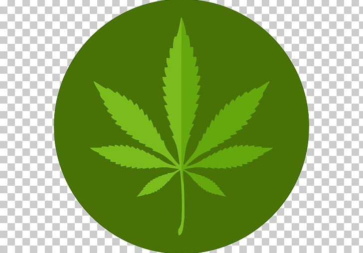 Medical Cannabis Medical Marijuana Card Kush PNG, Clipart, Bong, Cannabis, Computer Icons, Flat Design, Grass Free PNG Download