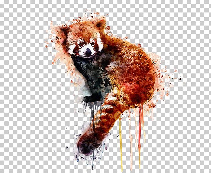 Red Panda Giant Panda Watercolor Painting Art PNG, Clipart, Art, Artist, Canvas, Canvas Print, Carnivoran Free PNG Download
