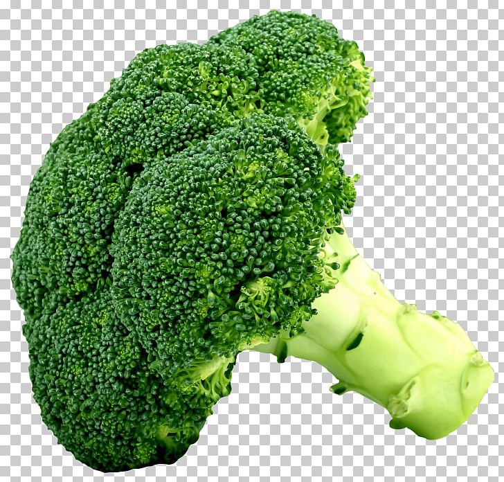 Broccoli Slaw Cruciferous Vegetables Food PNG, Clipart, Brassica Oleracea, Broccoli, Broccoli Slaw, Broccoli Sprouts, Celery Free PNG Download