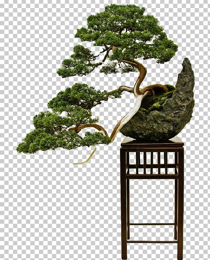 Bonsai Styles The Japanese Art Of Miniature Trees And Landscapes Pruning PNG, Clipart, Bonsai, Bonsai Styles, Crock, Decorative Arts, Flowerpot Free PNG Download