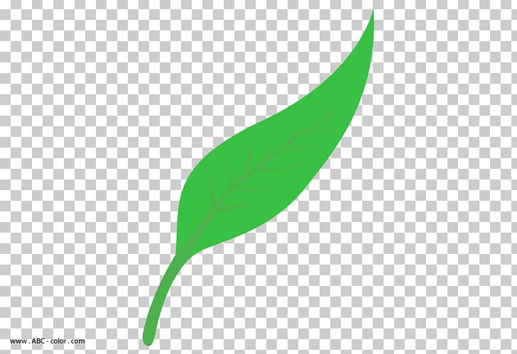 Leaf Drawing PNG, Clipart, Autumn Leaf Color, Clip Art, Curve, Desktop Wallpaper, Drawing Free PNG Download