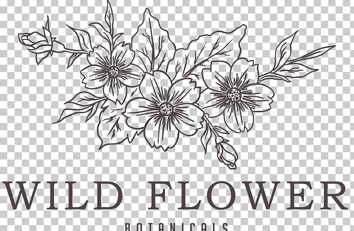 Paper Graphics Drawing Floral Design PNG, Clipart, Area, Artwork, Black And White, Coffee, Drawing Free PNG Download
