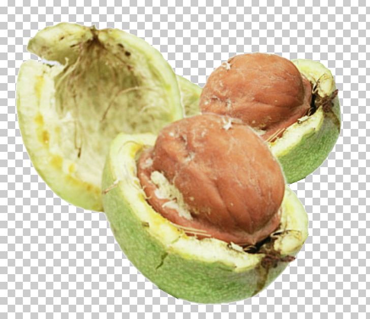 Walnut Peel PNG, Clipart, Birthday Party Picks, Designer, Download, Food, Free Free PNG Download