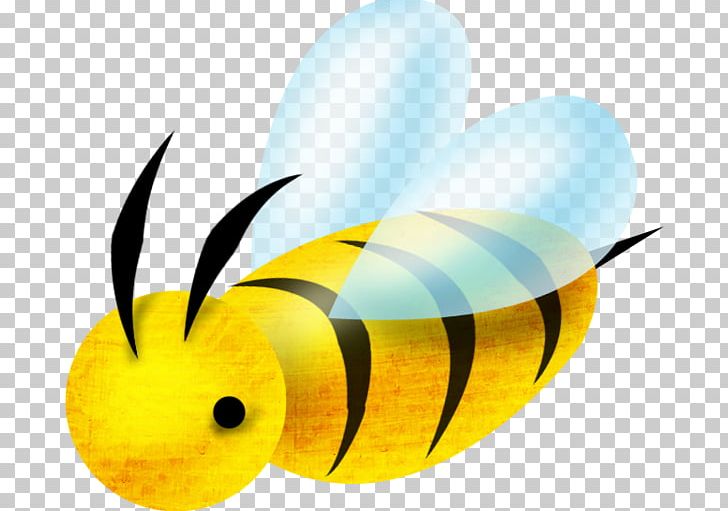 Bee Insect Apis Florea PNG, Clipart, Apis Florea, Balloon Cartoon, Bee, Bee, Beehive Free PNG Download