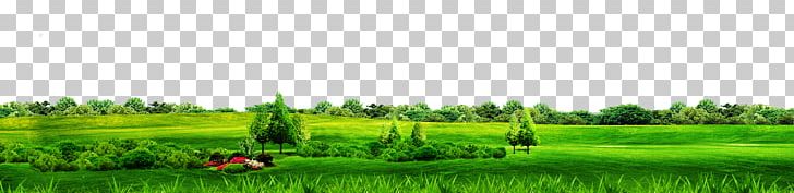 Biome Grassland Lawn Field Land Lot PNG, Clipart, Agriculture, Border Frame, Border Texture, Certificate Border, Crop Free PNG Download