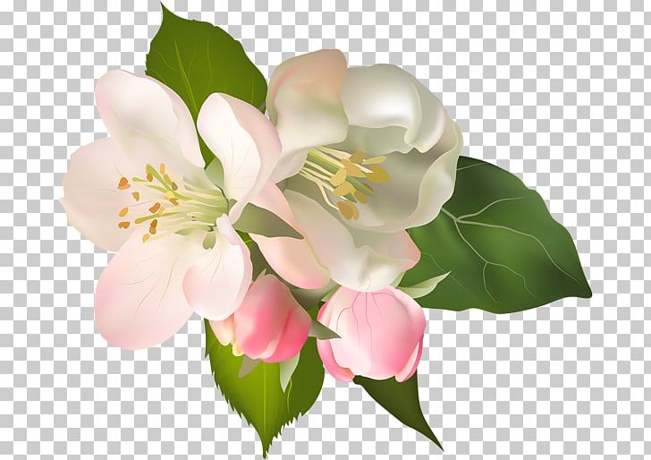 Blossom Floral Design Flower PNG, Clipart, Art, Blossom, Branch, Clip, Cut Flowers Free PNG Download
