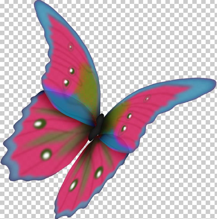 Butterfly Moth Flower PNG, Clipart, Brush Footed Butterfly, Butterflies And Moths, Butterfly, Flower, Green Free PNG Download