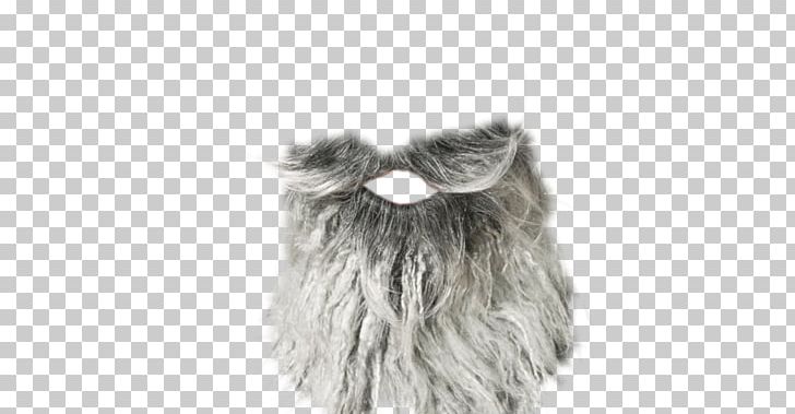 Feather Fur Clothing White PNG, Clipart, Black And White, Clothing, Feather, Fur, Fur Clothing Free PNG Download