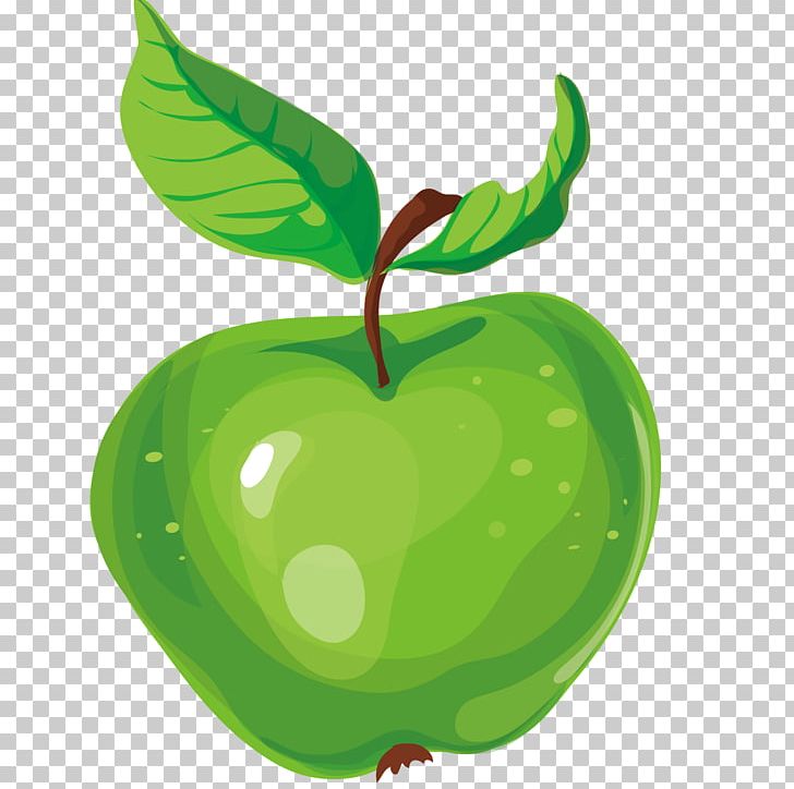 Granny Smith Illustration PNG, Clipart, Adobe Illustrator, Apple, Apple Fruit, Apple Logo, Apple Tree Free PNG Download