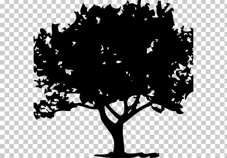 Tree Deciduous Drawing PNG, Clipart, Art, Black And White, Branch, Deciduous, Drawing Free PNG Download