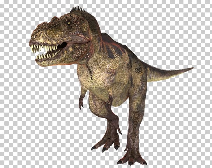 Tyrannosaurus Allosaurus Velociraptor Dinosaur Cretaceous PNG, Clipart, Allosaurus, Cretaceous, Dinosaur, Dinosaurs, Extinction Free PNG Download