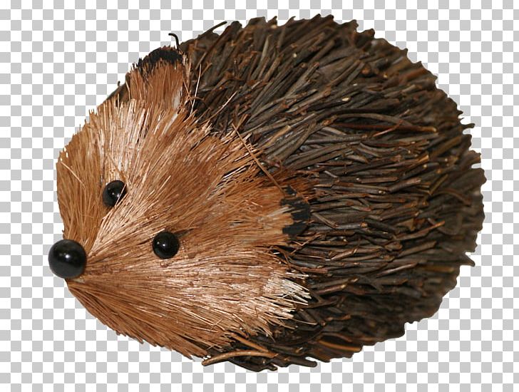 Domesticated Hedgehog Porcupine Echidna PNG, Clipart, Animals, Combination, Computer Mouse, Creative, Creative Combination Free PNG Download