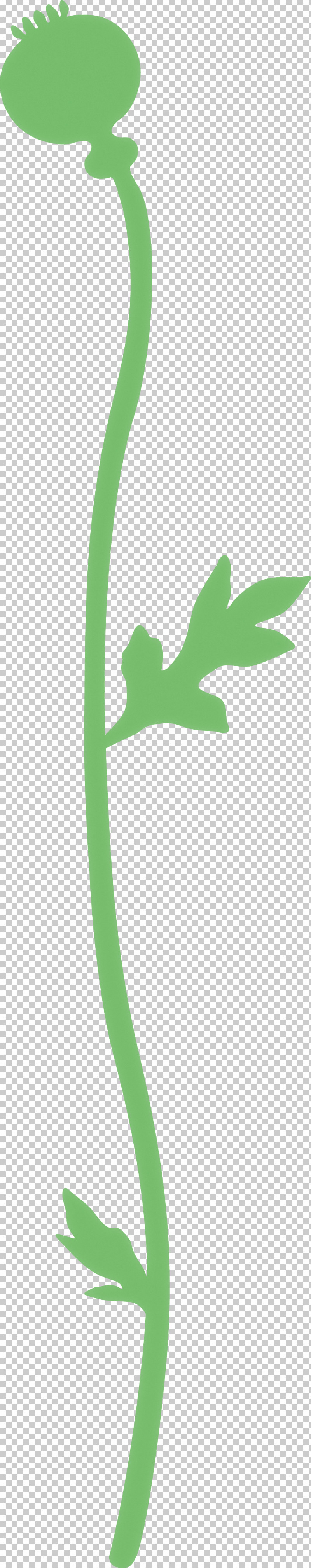 Poppy Flower PNG, Clipart, Green, Leaf, Logo, Plant, Plant Stem Free PNG Download