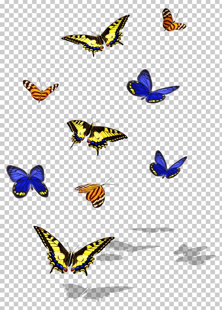 Monarch Butterfly Brush-footed Butterflies Insect PNG, Clipart, Arthropod, Bigpoint Games, Brush Footed Butterfly, Butterfly, Fauna Free PNG Download