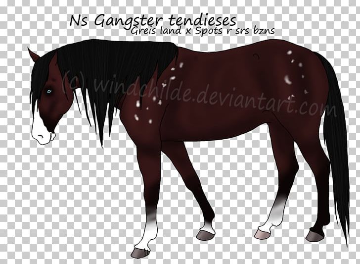 Mustang Stallion Mare Halter Horse Harnesses PNG, Clipart,  Free PNG Download