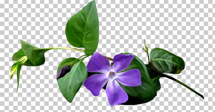 Purple Leaf Violet PNG, Clipart, Binary File, Clip Art, Cut Flowers, Flora, Flower Free PNG Download