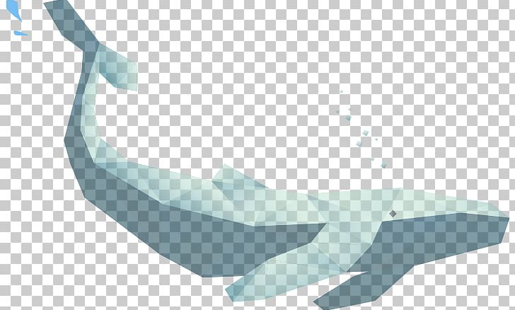 Porpoise Cetaceans PNG, Clipart, Angle, Arm, Art, Arts, Blue Whale Free PNG Download