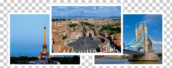 St. Peter's Square Matej Bel University Rome Investor Business PNG, Clipart,  Free PNG Download